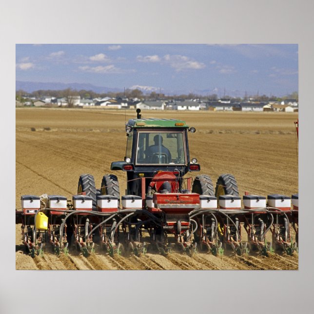 Traktor som drar en majssämaskin. poster (Framsidan)