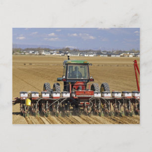 Traktor som drar en såmaskin för majs. vykort