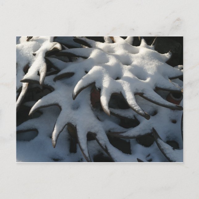 Traktorodlare rullar julvykortet helg vykort (Framsida)