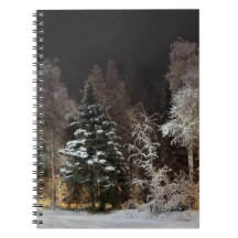 Trälig vinter skog natt scen