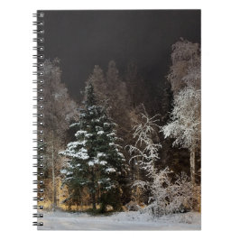 Trälig vinter skog natt scen anteckningsbok
