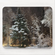 Trälig vinter skog natt scen