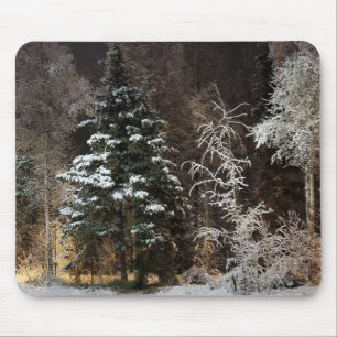 Trälig vinter skog natt scen musmatta