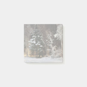 Trälig vinter skog natt scen post-it block