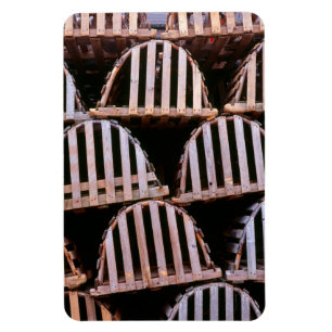 Trälobstergill vertikalt magnet