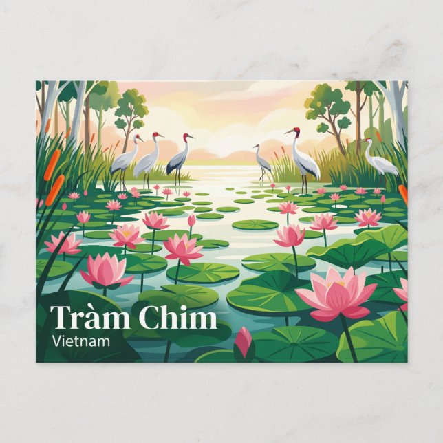 Tràm Chim nationalpark Vietnam Vykort (Framsida)