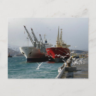 Trampers & Fiskmås, Dutch Harbour, AK Vykort