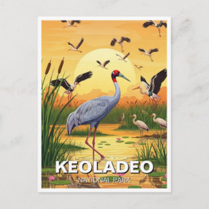 Tran i Keoladeo National Park Indien Resa Vykort