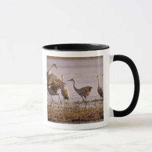 Tranan Grus canadensis) Platte Mugg