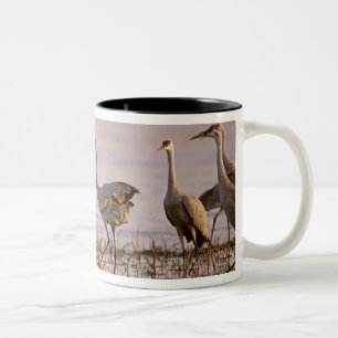 Tranan (Grus canadensis) Platte Två-Tonad Mugg