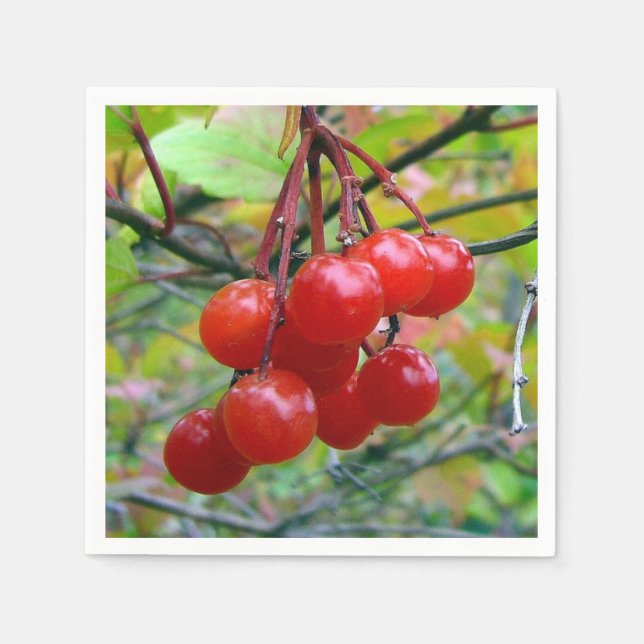 Tranbär Pappersservett (Framsidan)