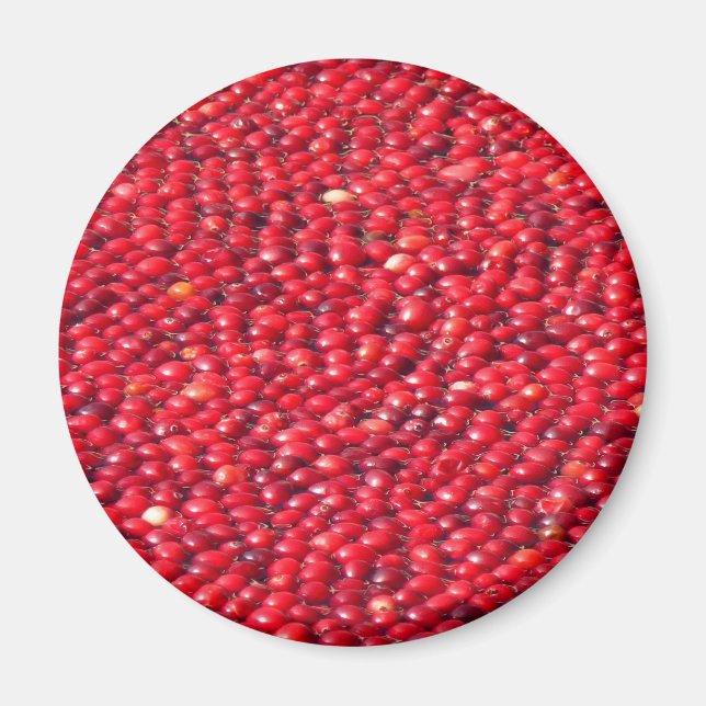 Tranbärs Festiva Röda Magnet (Framsidan)