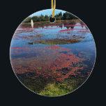 Tranbärsodling, Long Beach, Washington Julgransprydnad Keramik<br><div class="desc">Utsikt över överblivna tranbär som ännu inte skördats från en mosse på en tranbärsodling i Long Beach,  Washington.  Foto taget oktober 2017.</div>