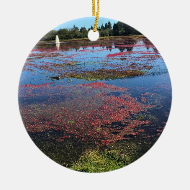 Tranbärsodling, Long Beach, Washington Julgransprydnad Keramik (Framsidan)