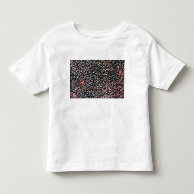 tranbärsstirring t shirt (Framsida)