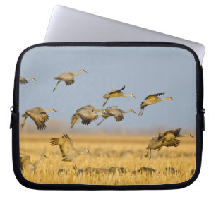 Trandanserande tranor landar i majsfält laptop sleeve