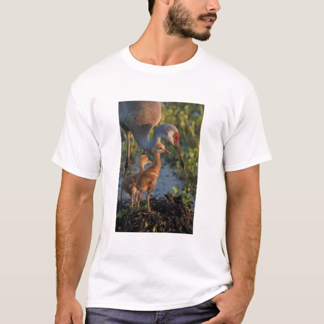 Trandansktran med ungar, Florida Tee (Framsida)