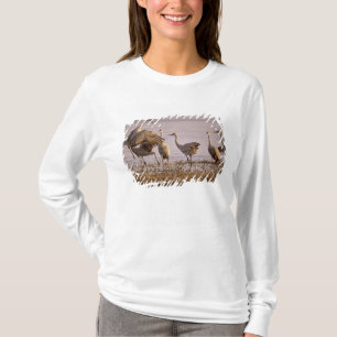 Trandjur (Grus canadensis) Platte T-shirt