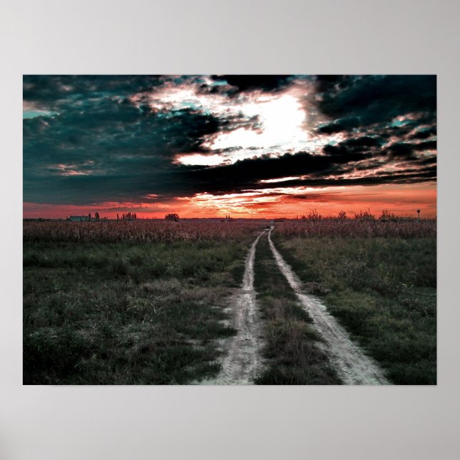 Träning av magisk damm från Oz Poster (Framsidan)