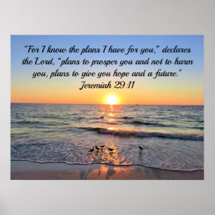 TRANQUIL AND LUGN JEREMIAH 29:11 SUNRISE POSTER