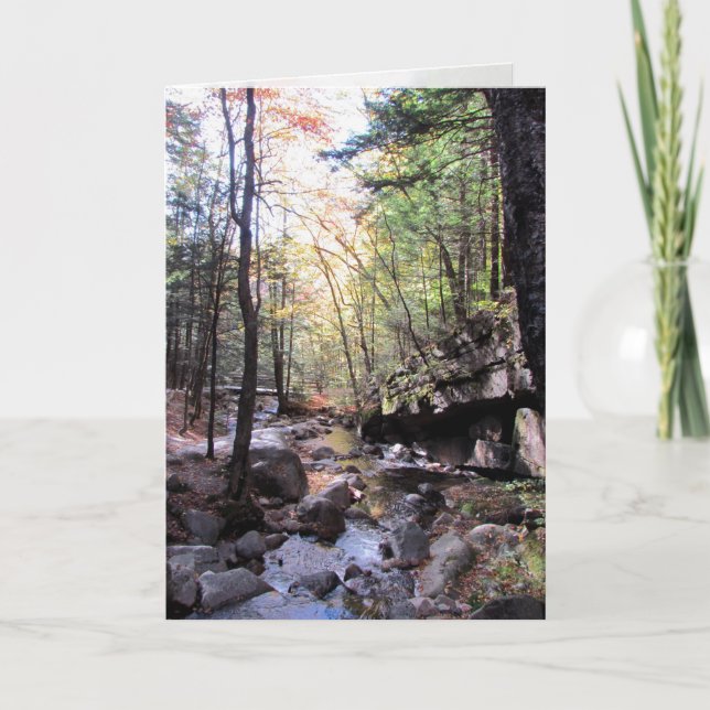 Tranquil Birthday Önskemål Kort (Framsida)