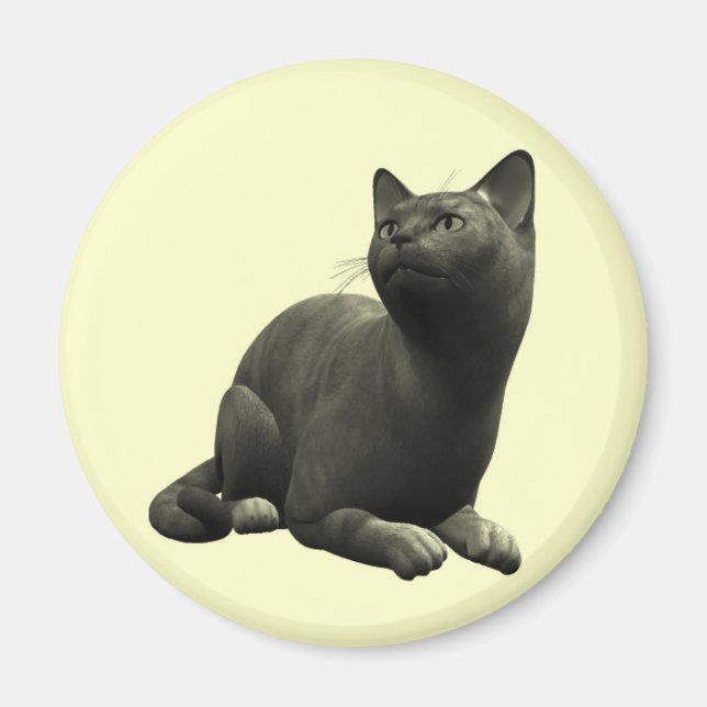 Tranquil Black Cat Magnet (Framsidan)
