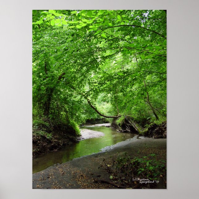 Tranquil Curvy Stream Forest Poster (Framsidan)