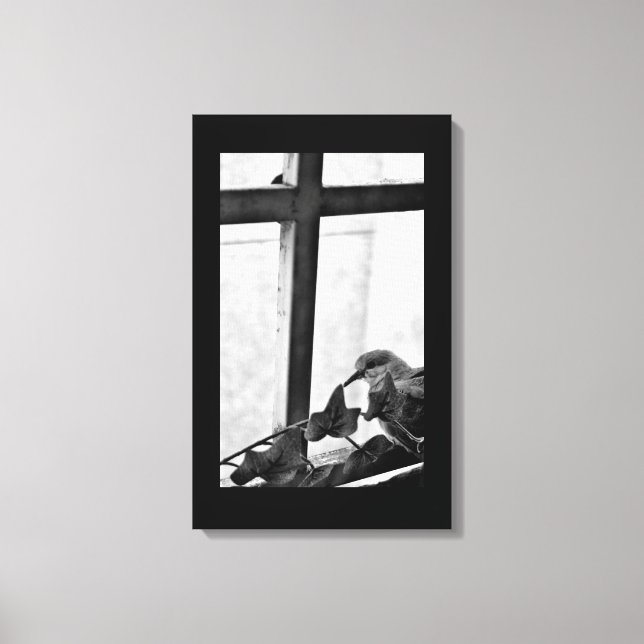 Tranquil Dove Canvastryck (Framsida)