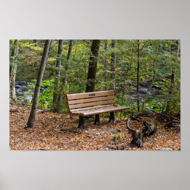 Tranquil Forest Bench in Autumn Poster (Framsidan)