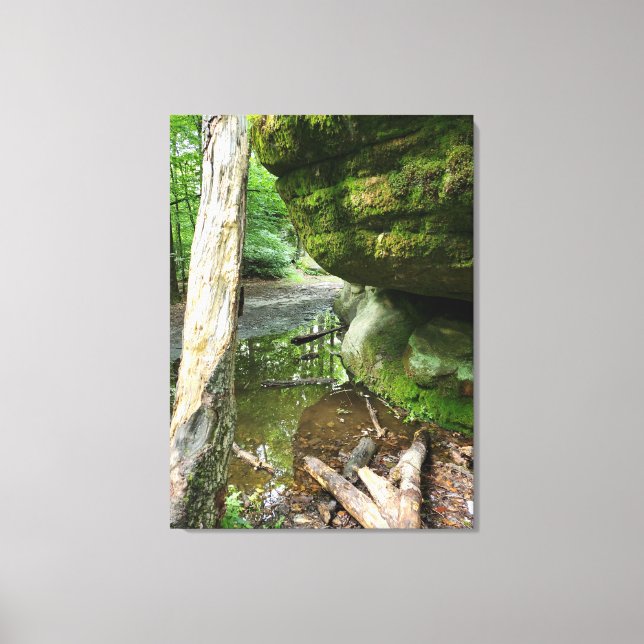 Tranquil Forest Canvas Print | Real Landscape (Framsida)