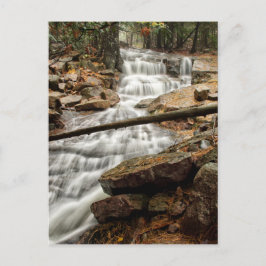 Tranquil Forest Waterfall Vykort