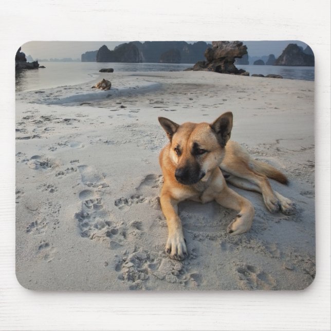 Tranquil Hund på stranden Musmatta (Framsidan)