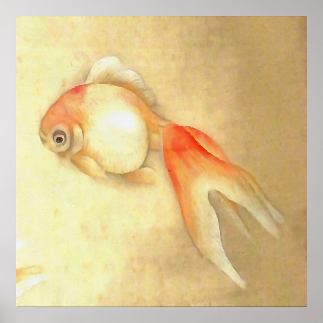 Tranquil Japansk Goldfish Poster (Framsidan)