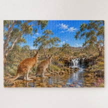 Tranquil Kangaroo Stream Small Woodland Waterfall