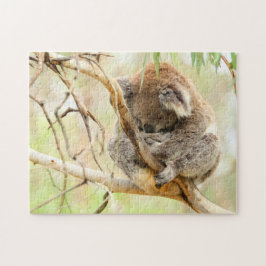 TRANQUIL KOALA 11x14 INCH Pussel