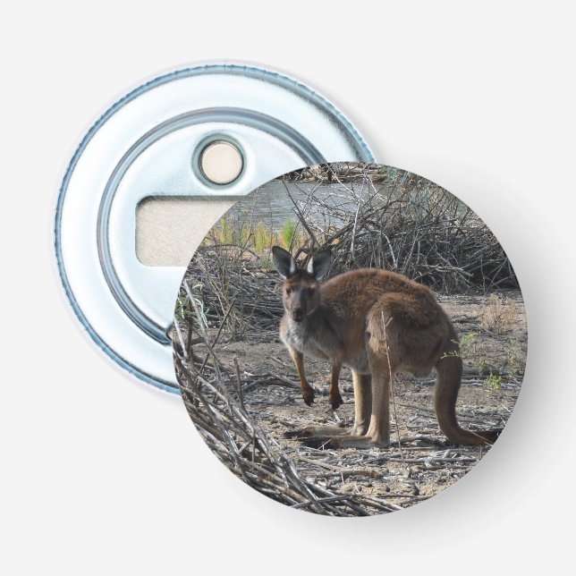 Tranquil Moment: Australian Kangaroo på Billabong Flasköppnare (Framsidan)