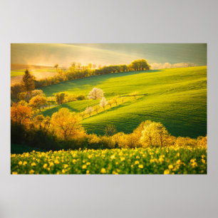 Tranquil Rural liggande i solcellerna. Vacker su Poster