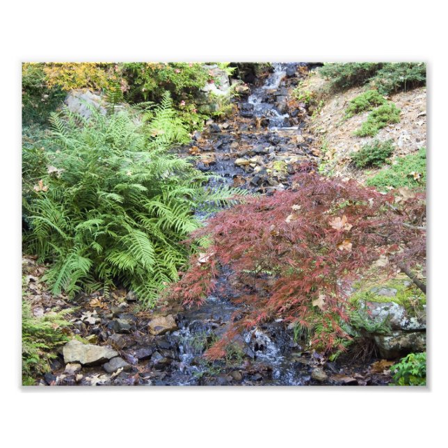 Tranquil Stream Fototryck (Framsidan)