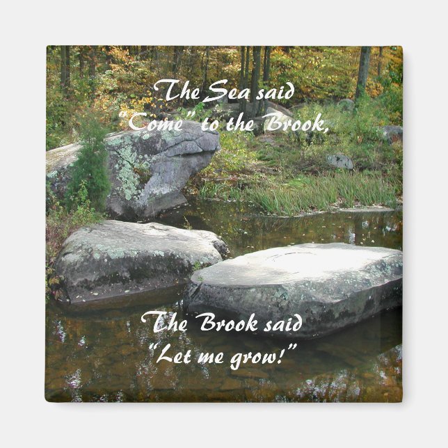 Tranquil Stream - Magnet #2 (Framsidan)