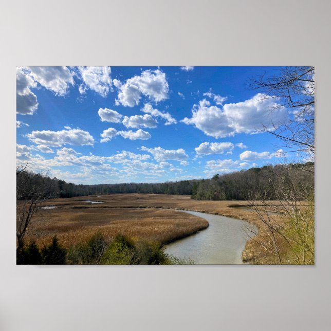 Tranquil Swampy Wetland Yorktown Virginia Poster (Framsidan)