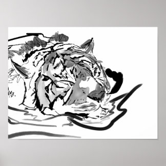 Tranquil Tiger Poster