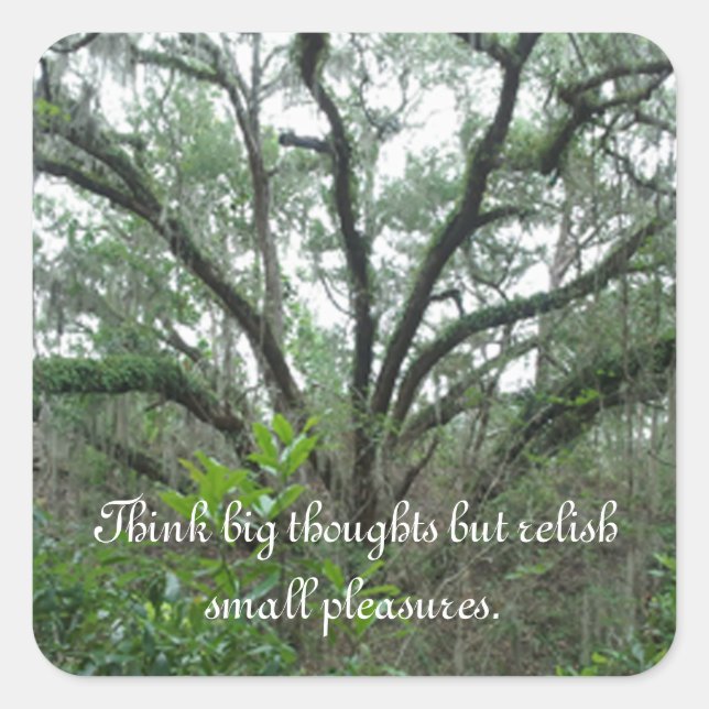 Tranquil Träd Stickers Fyrkantigt Klistermärke (Framsida)