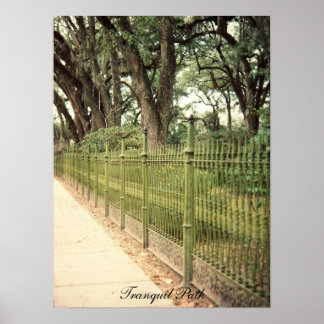 Tranquil Väg-utskrift Poster