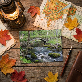 Tranquil Vatten: Gleason Falls Road Bridge Vykort