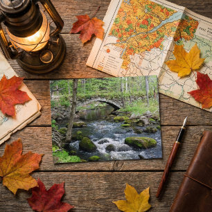 Tranquil Vatten: Gleason Falls Road Bridge Vykort