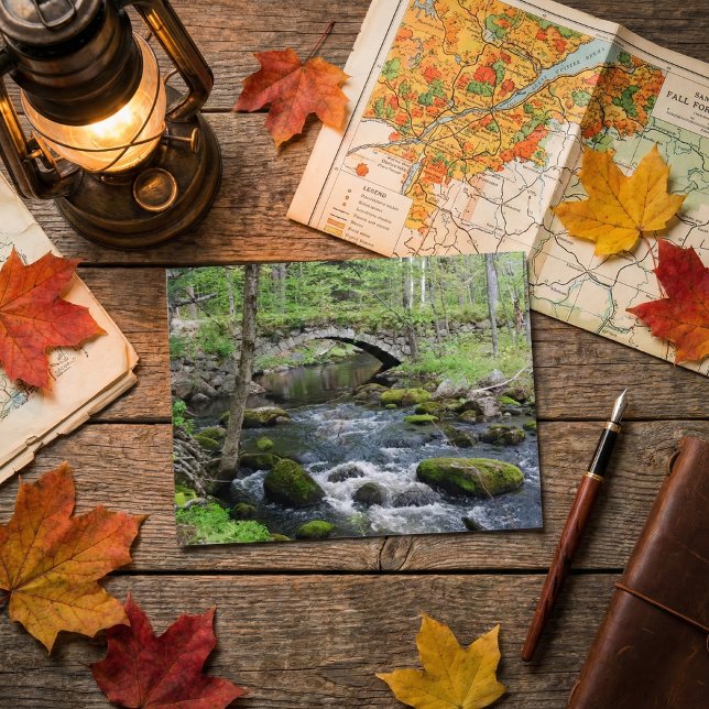 Tranquil Vatten: Gleason Falls Road Bridge Vykort (Skapare uppladdad)
