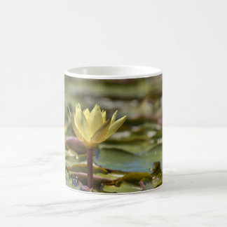 Tranquil Water Lily Coffee Mug – Nature Photograph Kaffemugg