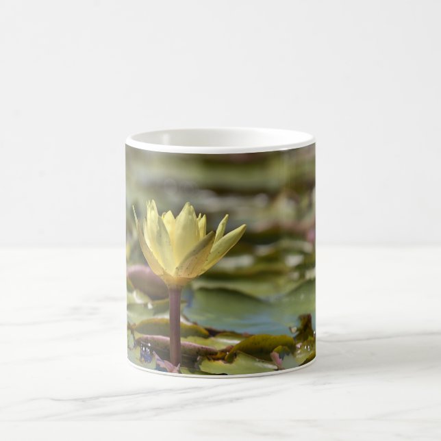 Tranquil Water Lily Coffee Mug – Nature Photograph Kaffemugg (Center)