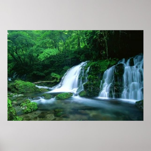 Tranquil Waterfall Poster (Framsidan)