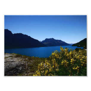 Tranquilitet Blues South Island, New Zealand Photo Fototryck